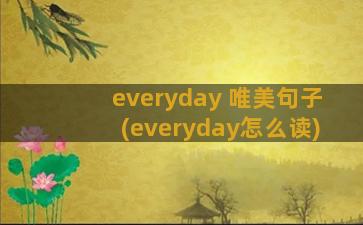 everyday 唯美句子(everyday怎么读)